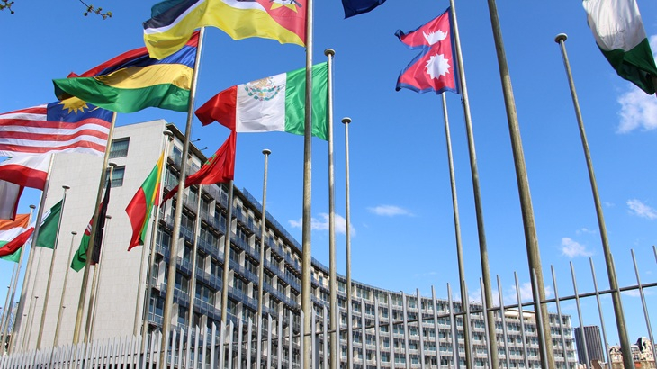 Unesco vlaggen