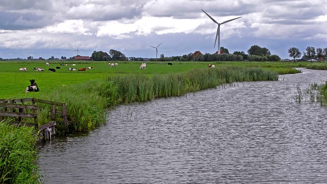Landschap-Nederland-met-windmolen.jpg
