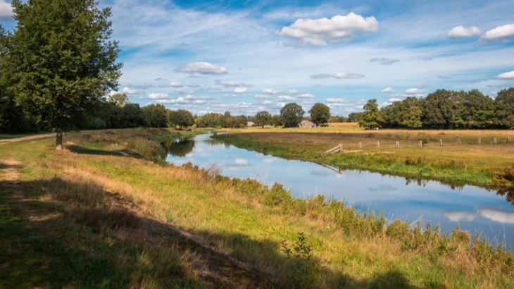 Natuur-Overijssel-shutterstock-1506837071.jpg