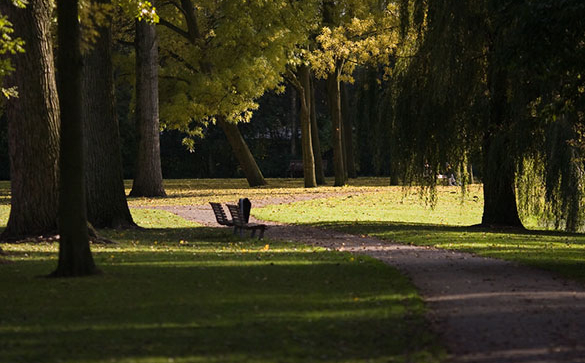 Zuiderpark-Rotterdam.jpg