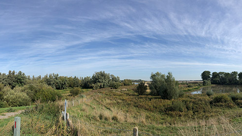 natuur-gelderland---shutterstock-1514550074.jpg