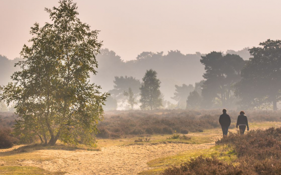 Natuur-Nederland.jpg