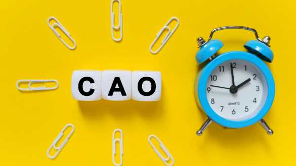 cao-2----shutterstock-1873639396.jpg