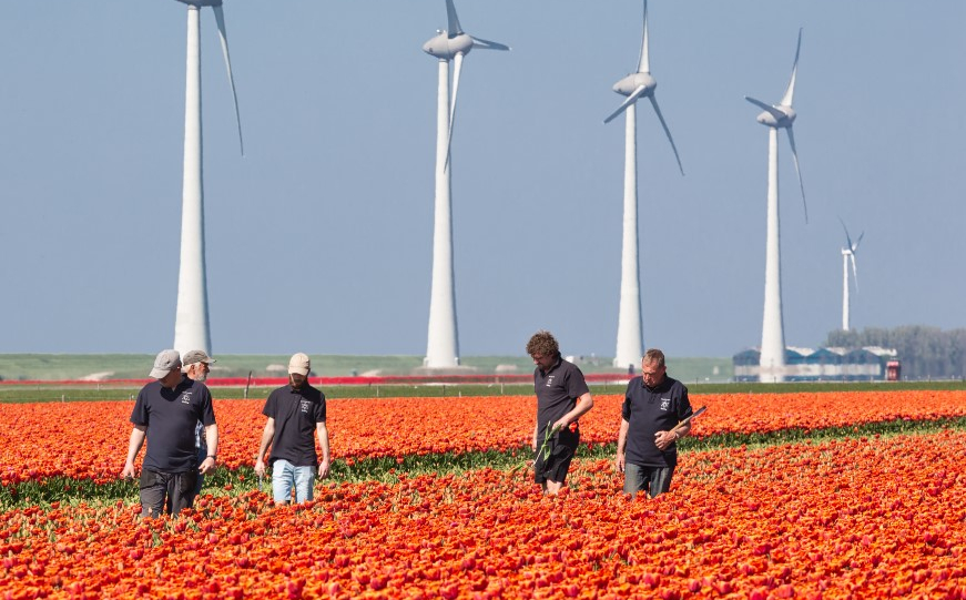 migrant-arbeidsmigrant-Polen1.1.jpg