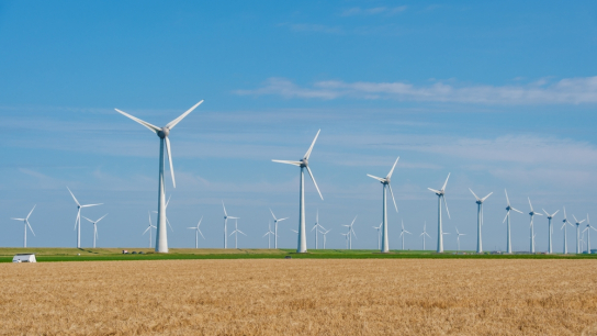 Windmolens in landschap