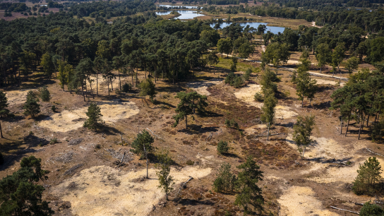 Een luchtfoto van het natuurgebied Kampina en Oisterwijkse Vennen.