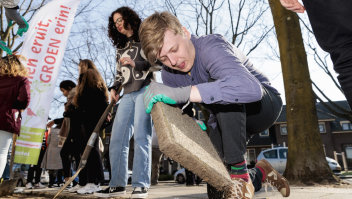 Tegelwippen