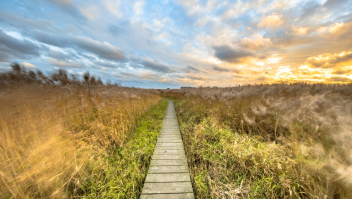 Houten brug in Natura 2000-gebied in de provincie Groningen.