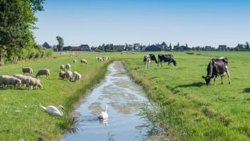 Landelijk gebied tussen Alkmaar en Hoorn