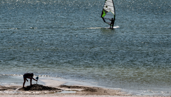 Het strand van Makkum aan het IJsselmeer, begin juni.