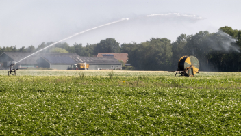 Een Drentse boer bespuit begin juli met een grote waterstraal zijn gewassen, zoals hier het aardappelveld.