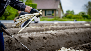 ANP Arbeidsmigranten landbouw