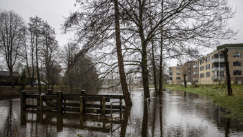 River de Regge uit zijn oevers getreden