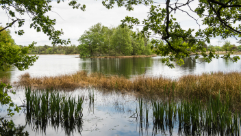 Leersumse Veld, Utrecht,