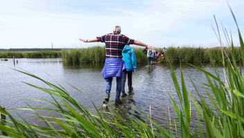 Wandelen over water in het Guisveld bij Wormerveer