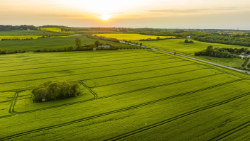 Boerenlanden in Zuid-Denemarken, in mei vorig jaar.