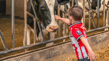 Open dag afgelopen zomer op een zorgboerderij bij het Noord-Brabantse dorp Den Hout.