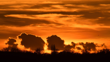 Een zonsondergang afgelopen november in een natuurgebied bij Terheijden, in Noord-Brabant.