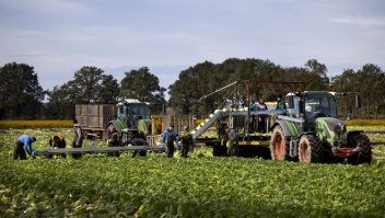 Arbeidsmigranten aan het werk in Horst