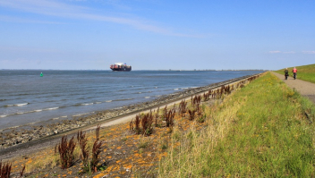 containerschip westerschelde