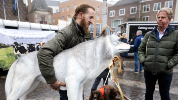 Bij het Gelderse provinciehuis in Arnhem werd woensdag actie gevoerd voor een strikter wolvenbeleid.