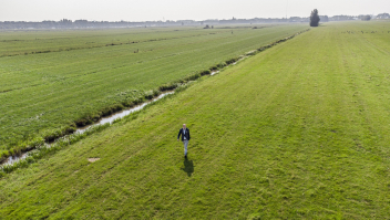 De Rijnenburg-polder zuidwesterlijk van de stad Utrecht bestaat nu nog uit sloten en weilanden. Dit is één van de grootste bouwlocaties van Nederland.