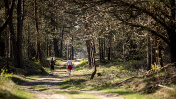 Nationaal Park de Hoge Veluwe, vorige maand.