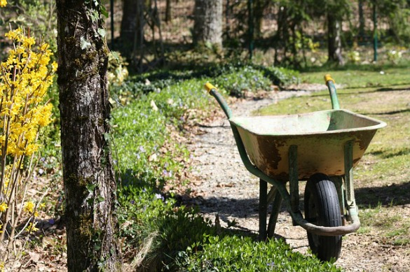 kruiwagen-groenbeheer.jpg