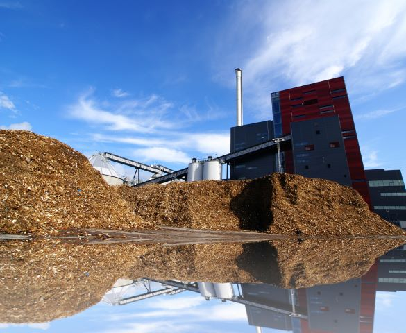 biomassa.jpg