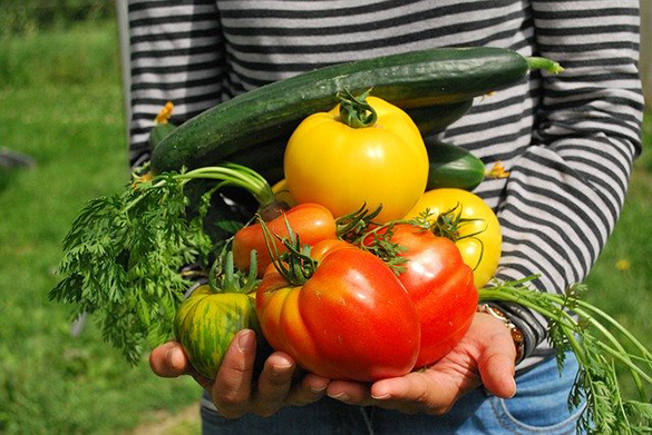 groenten---pixabay-742095-640.jpg