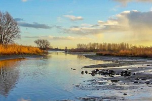 arcadis-rivieren-oost-nederland-samenwerking-riviernatuur.jpg