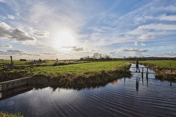 bergen-nh-klimaatstresstest-noord-holland05--1-.jpg