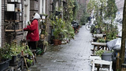 groen-in-Czaar-peterbuurt-Amsterdam-520x296.jpg