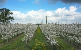 kadaster15-9.jpg